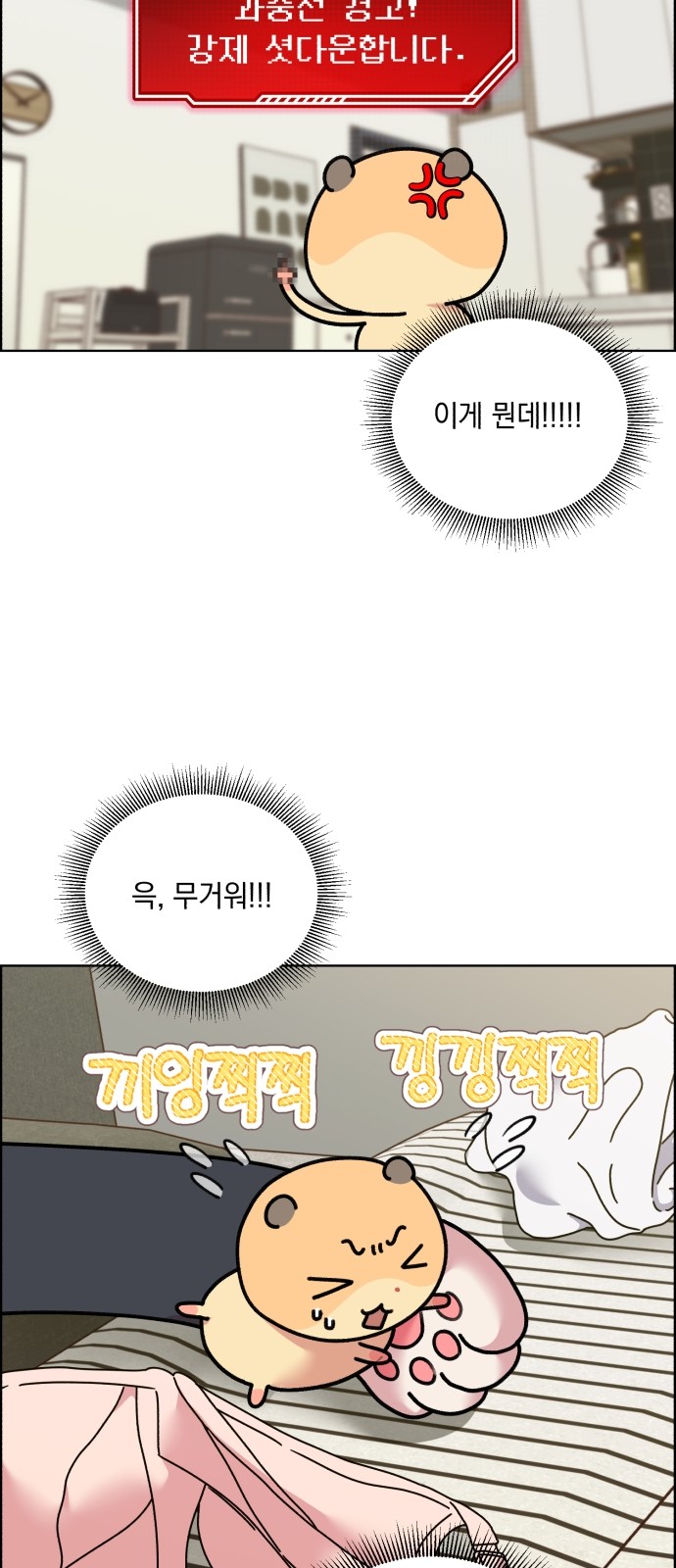 11 페이지