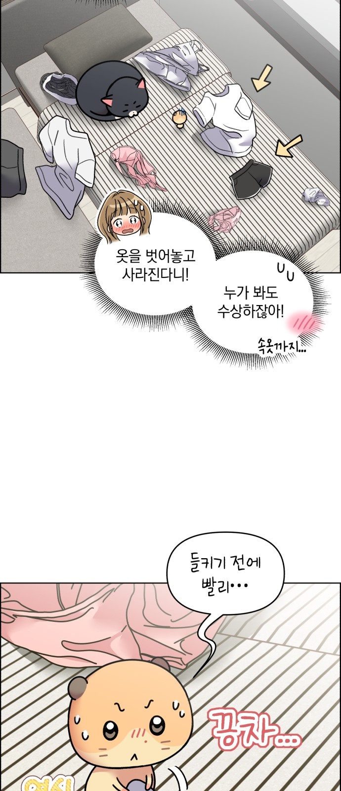14 페이지
