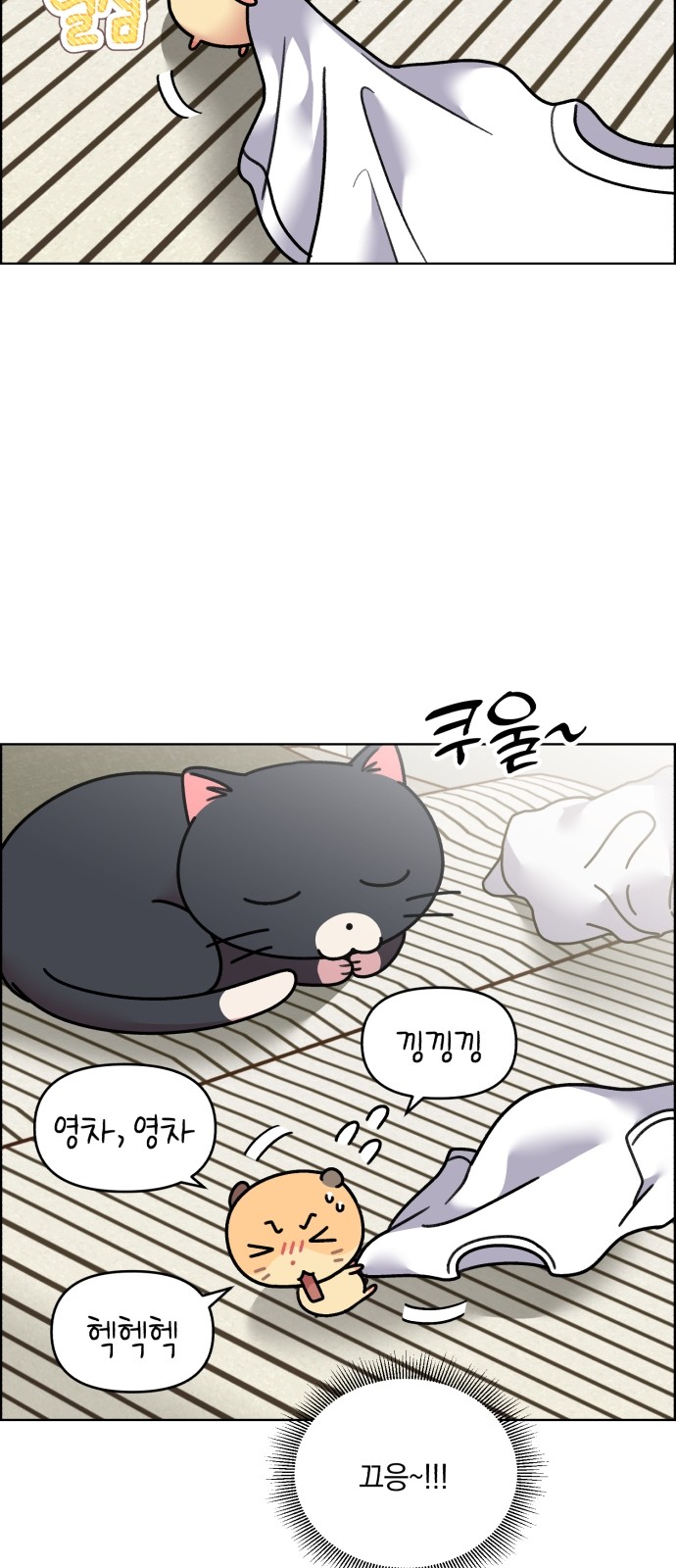 15 페이지
