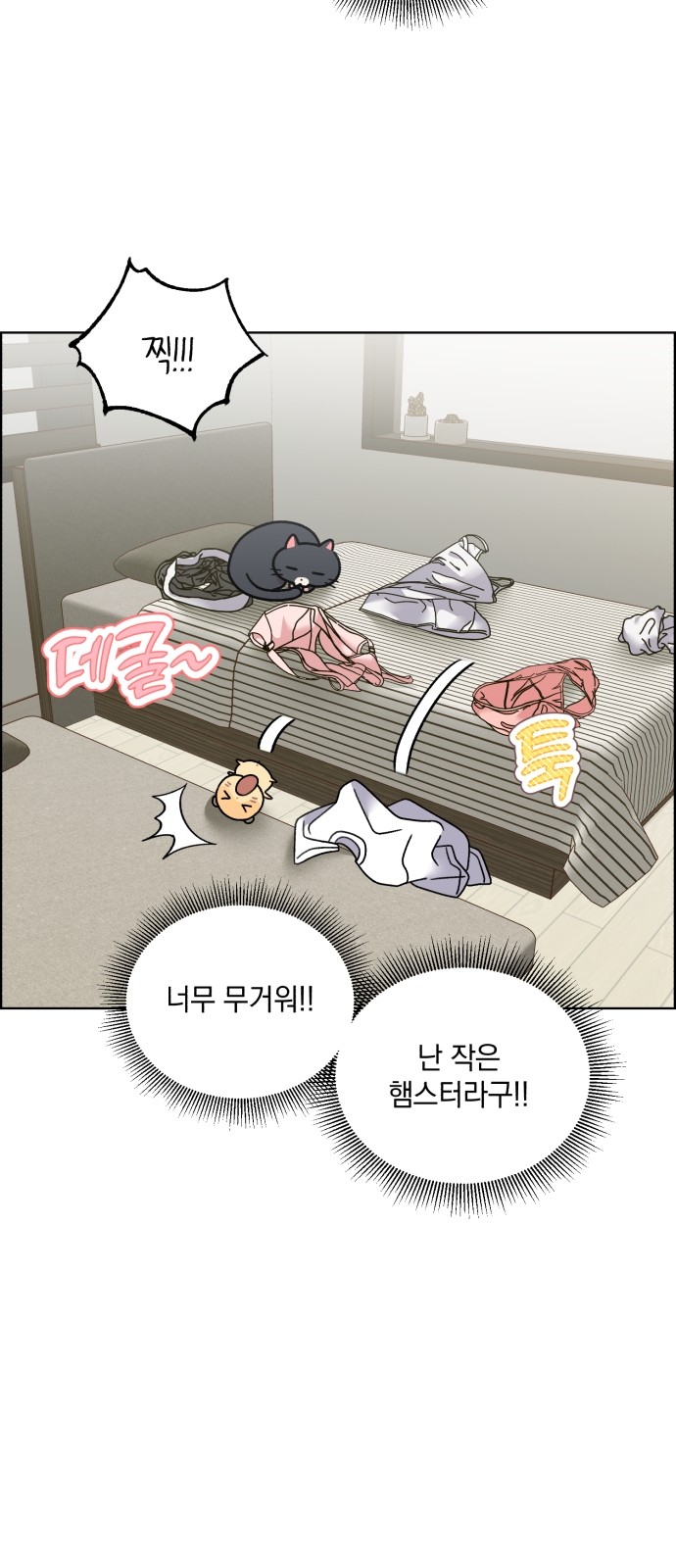 16 페이지