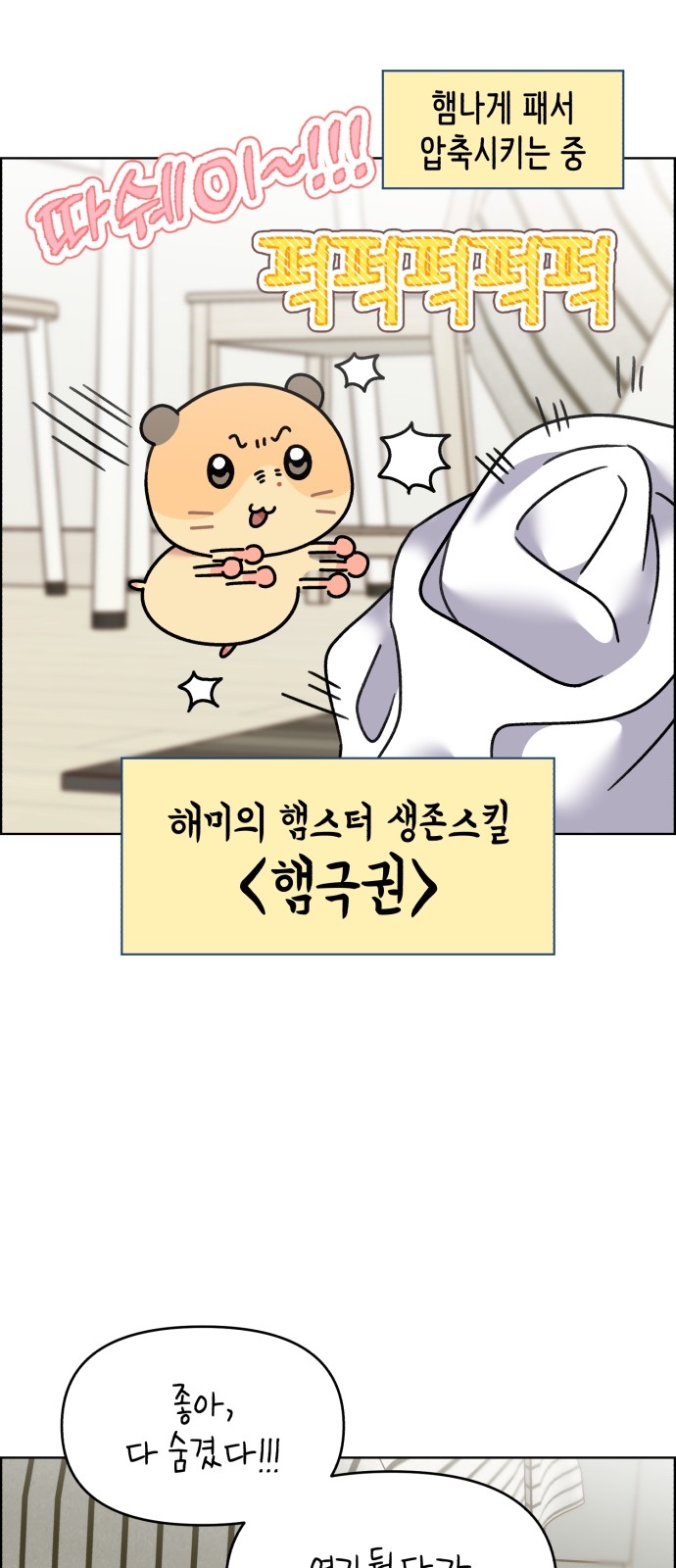 17 페이지