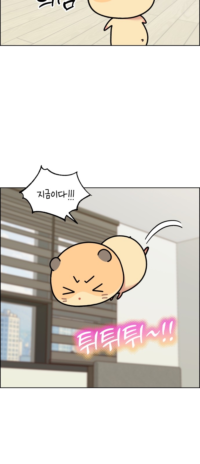 19 페이지