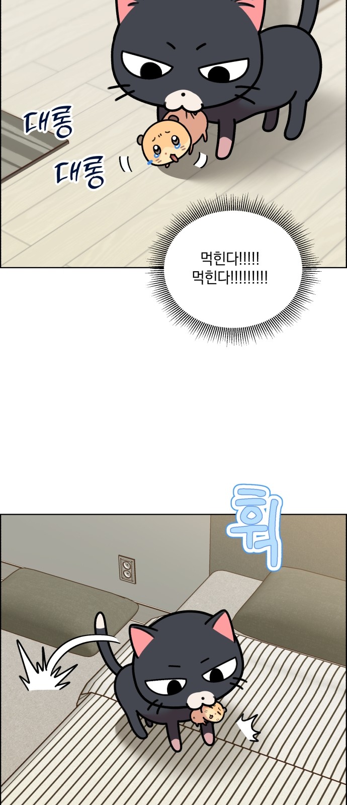 25 페이지