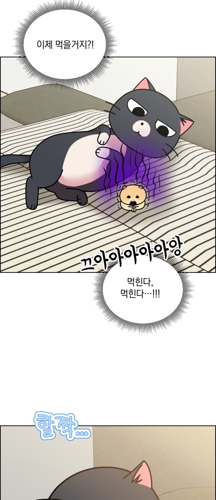 27 페이지
