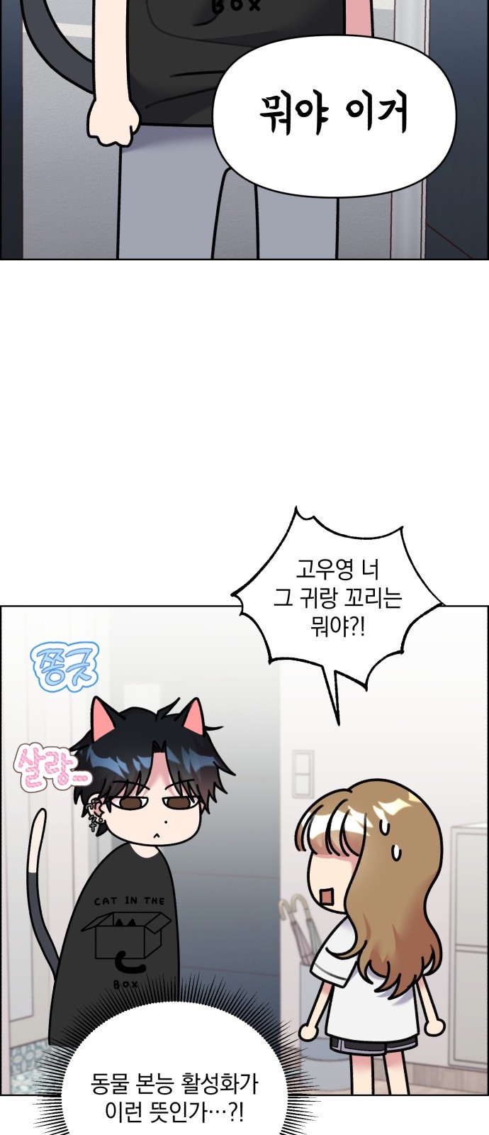 11 페이지