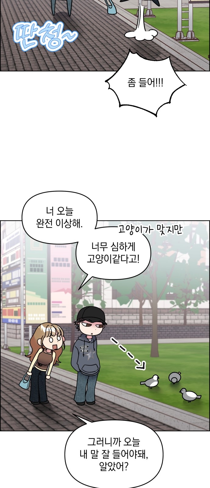 5 페이지