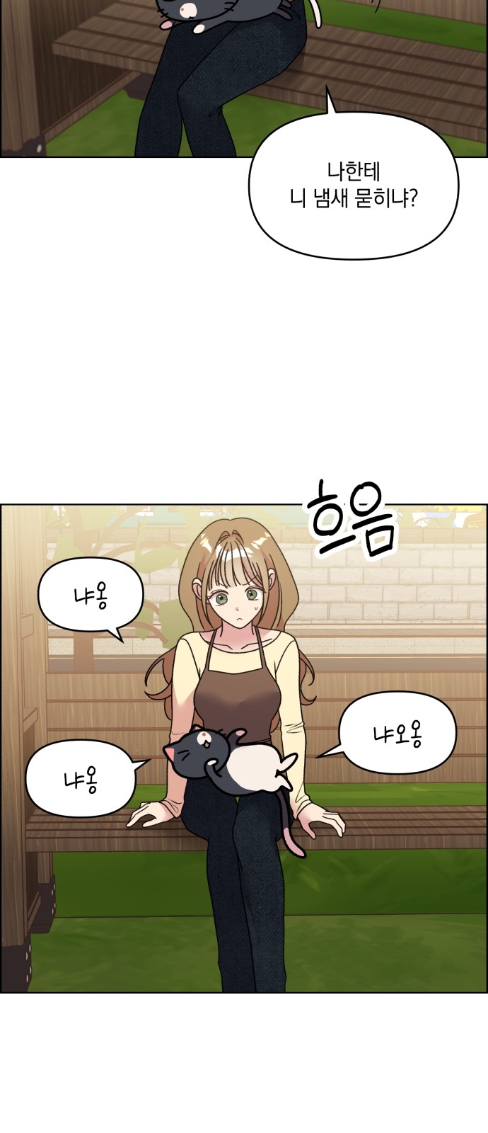11 페이지