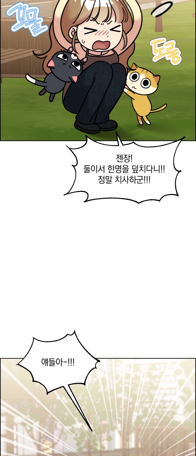 5 페이지