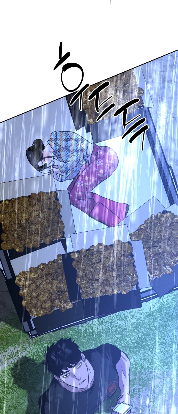 15 페이지
