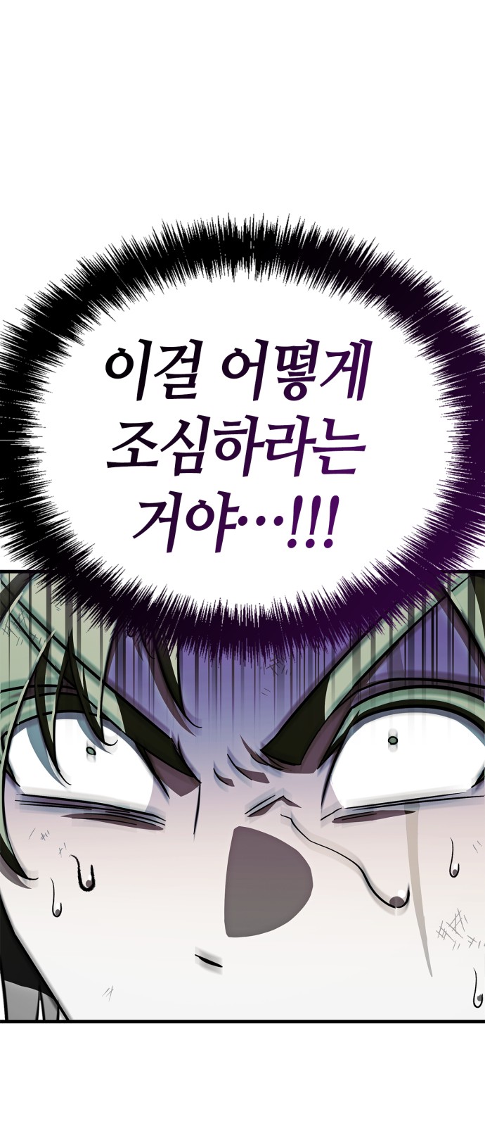 113 페이지
