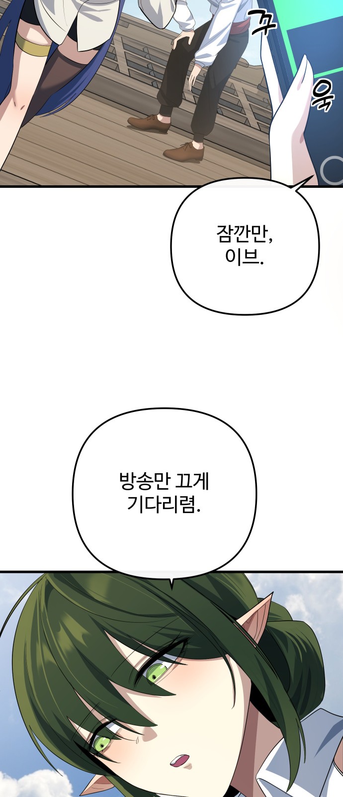 66 페이지