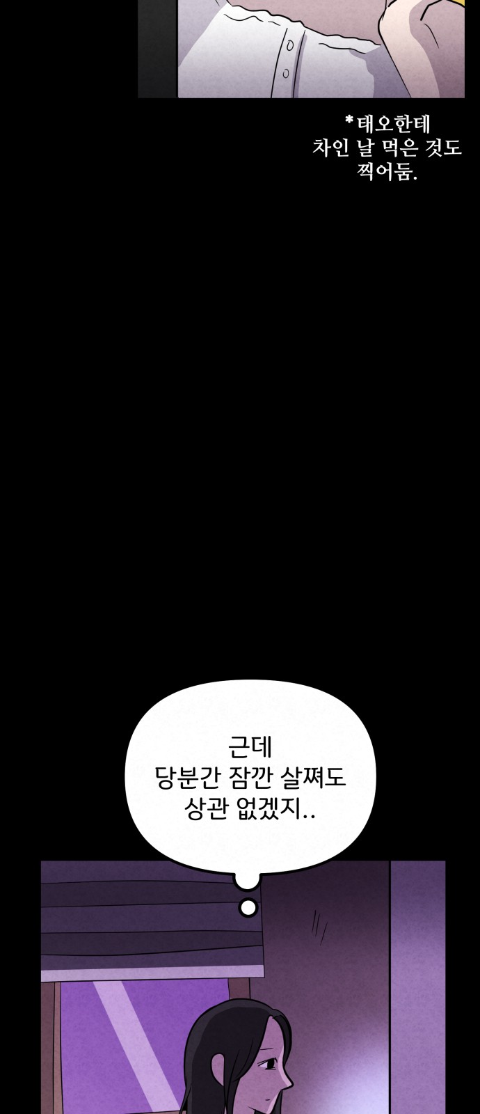 66 페이지