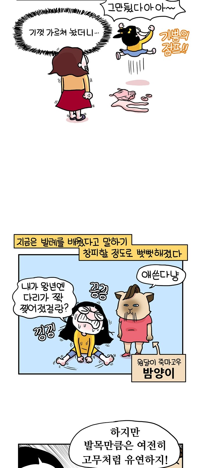 15 페이지