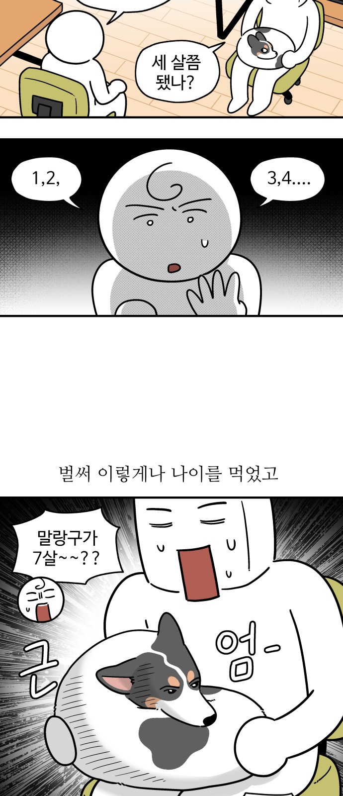 3 페이지