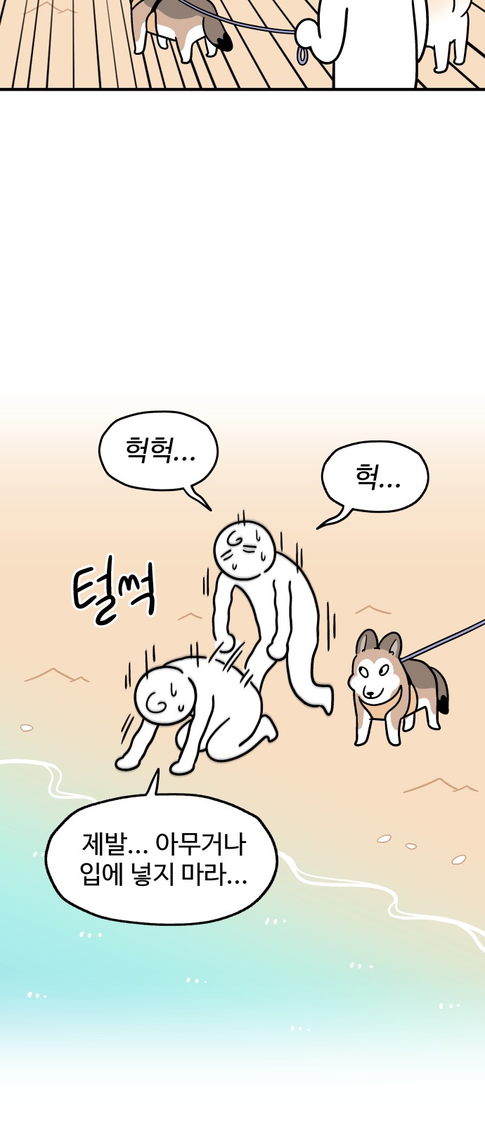 4 페이지