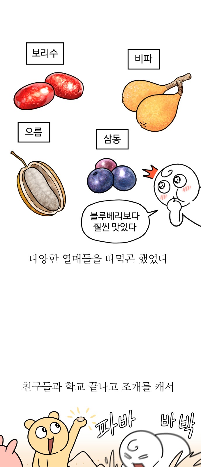 5 페이지