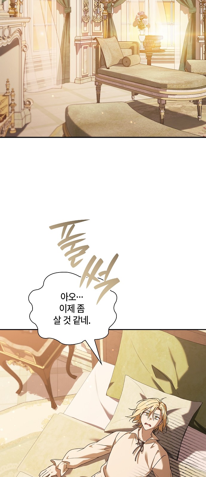 65 페이지