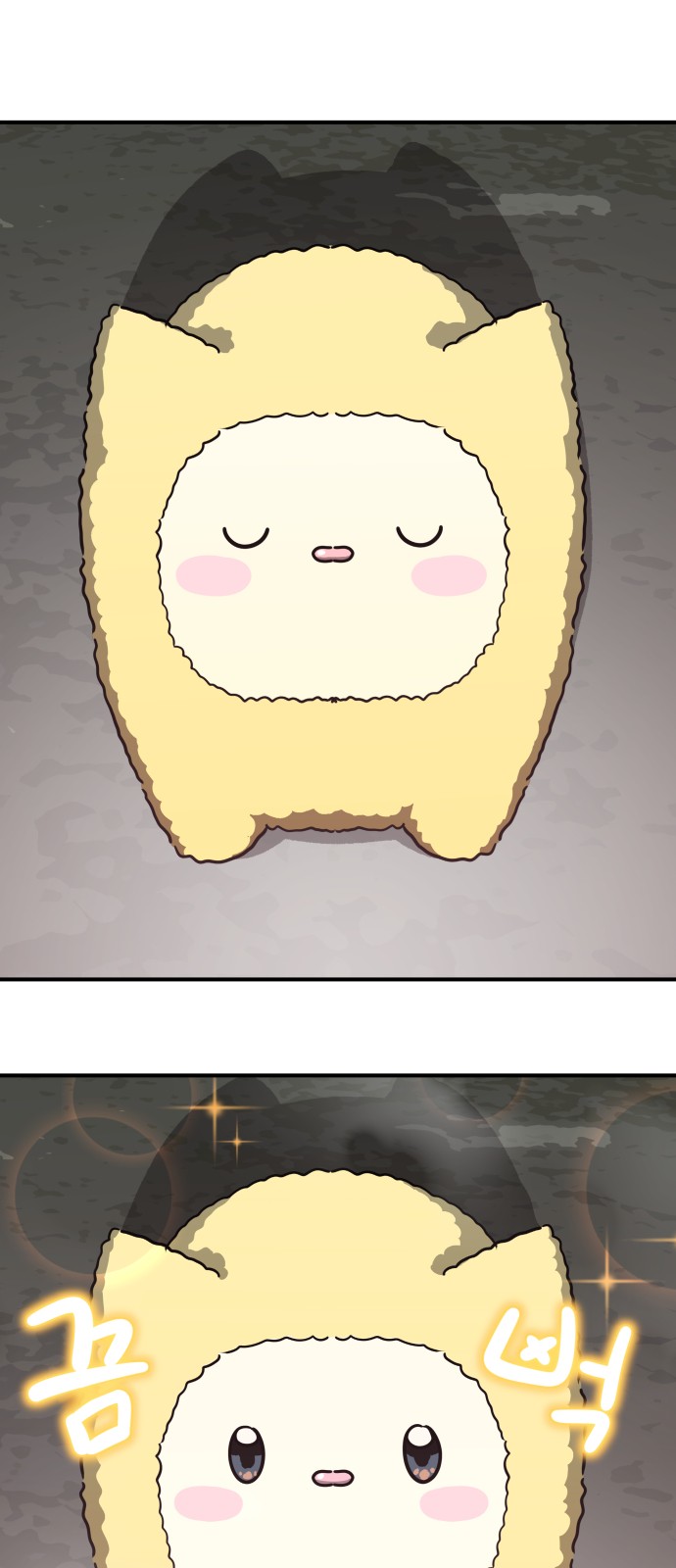 5 페이지