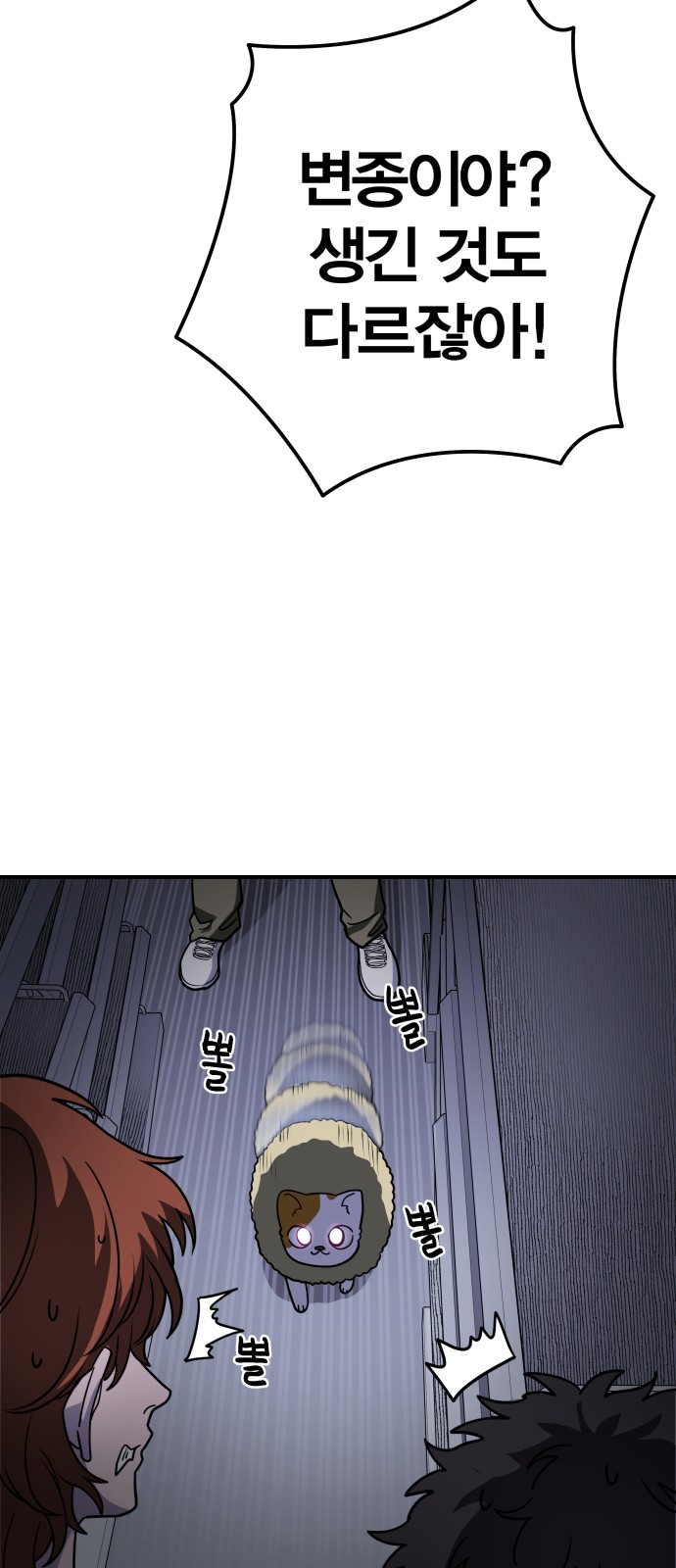 11 페이지