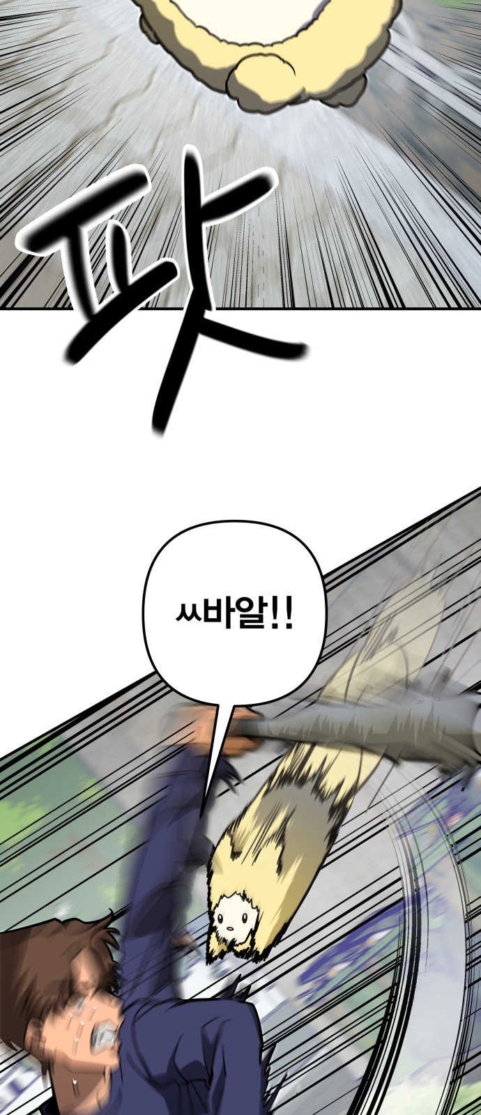62 페이지