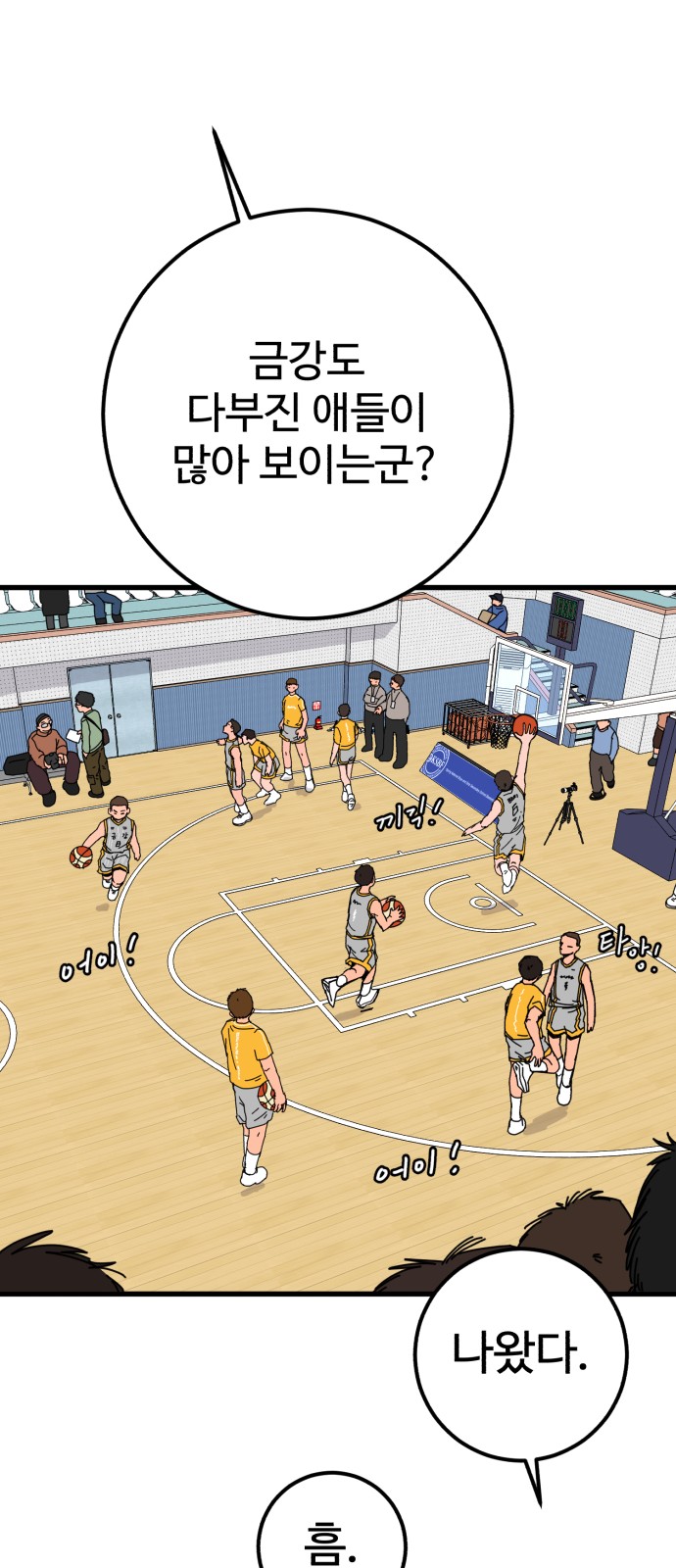43 페이지