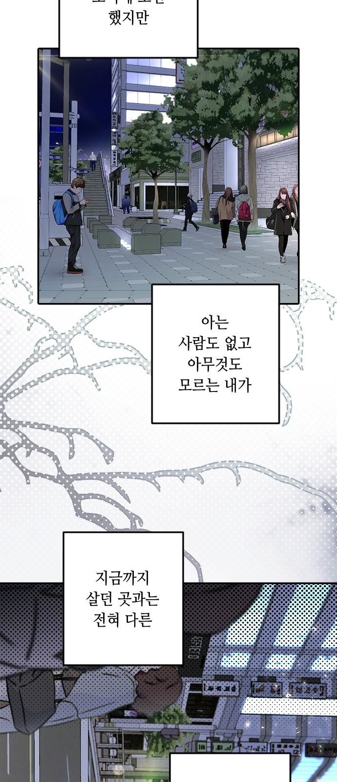 81 페이지