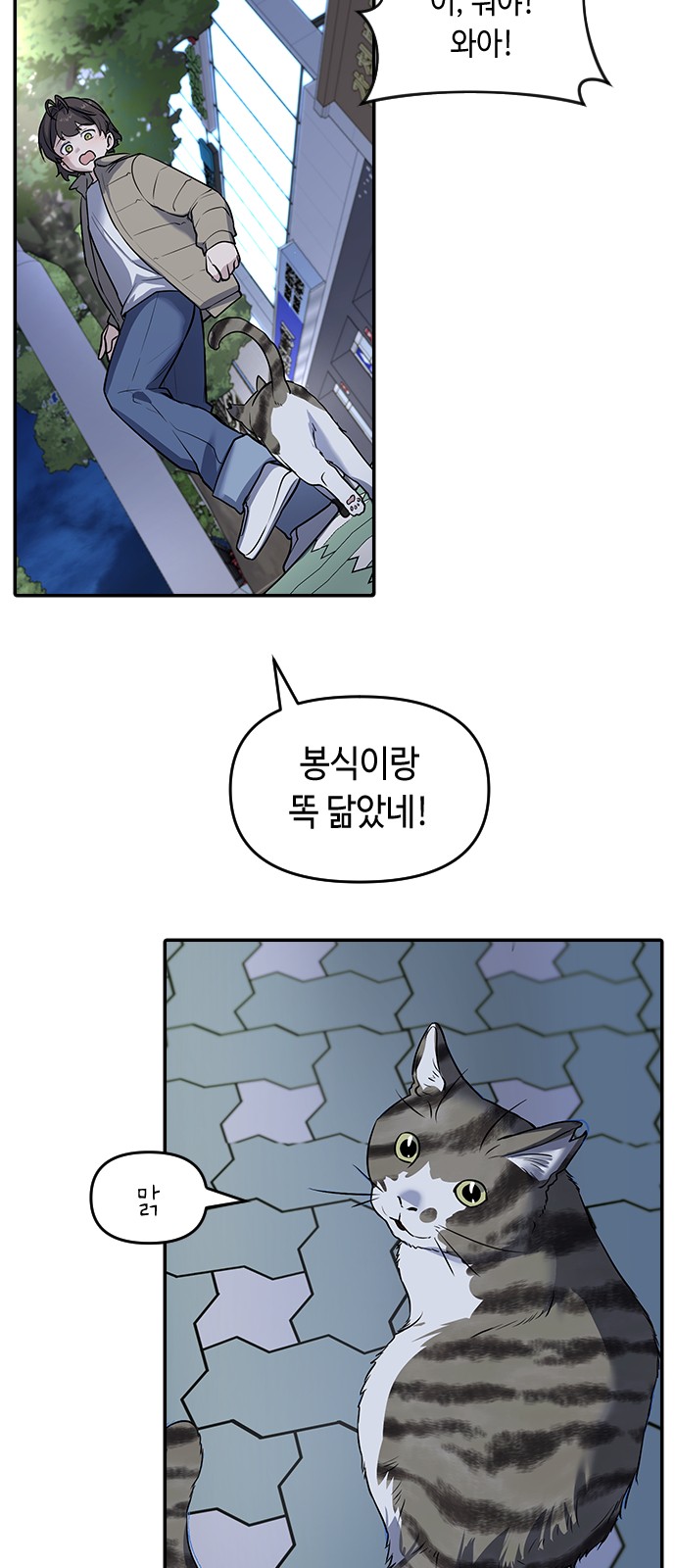 86 페이지