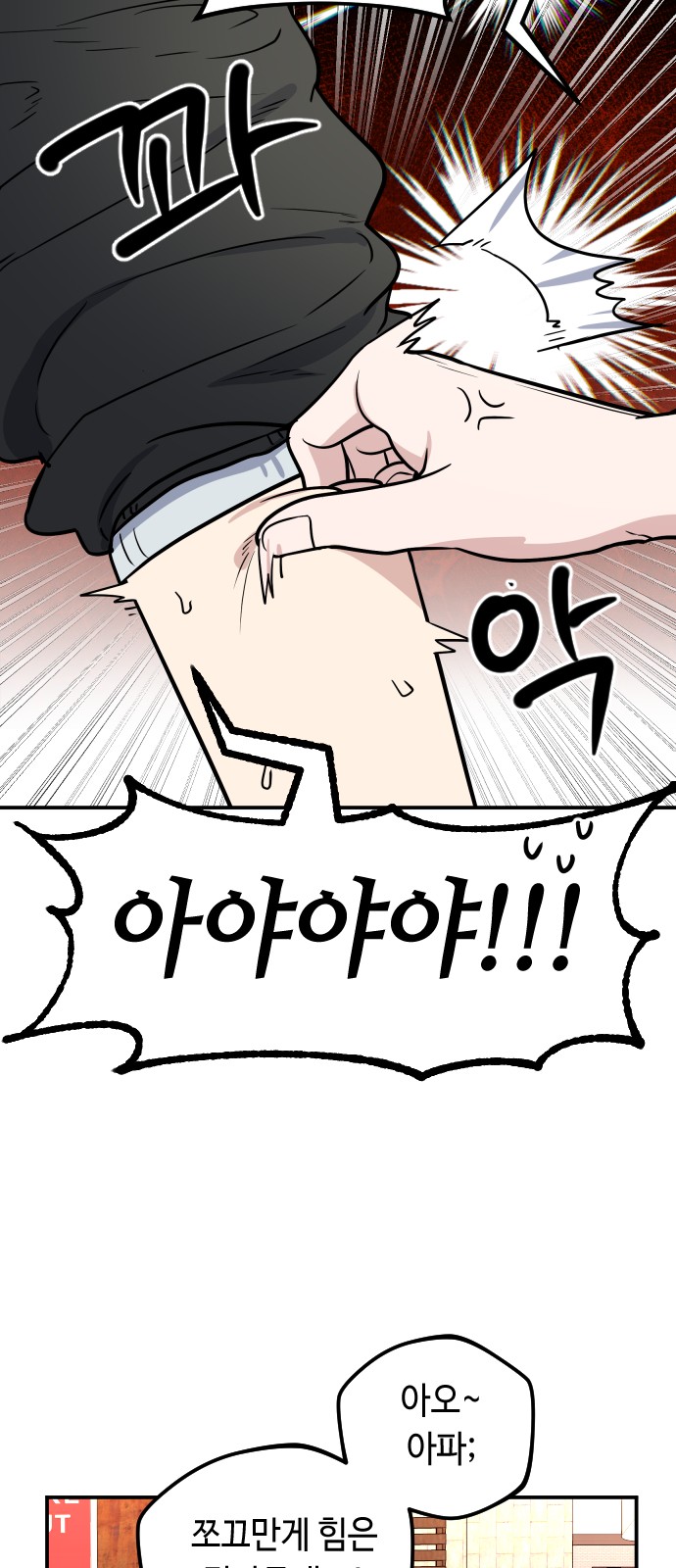30 페이지