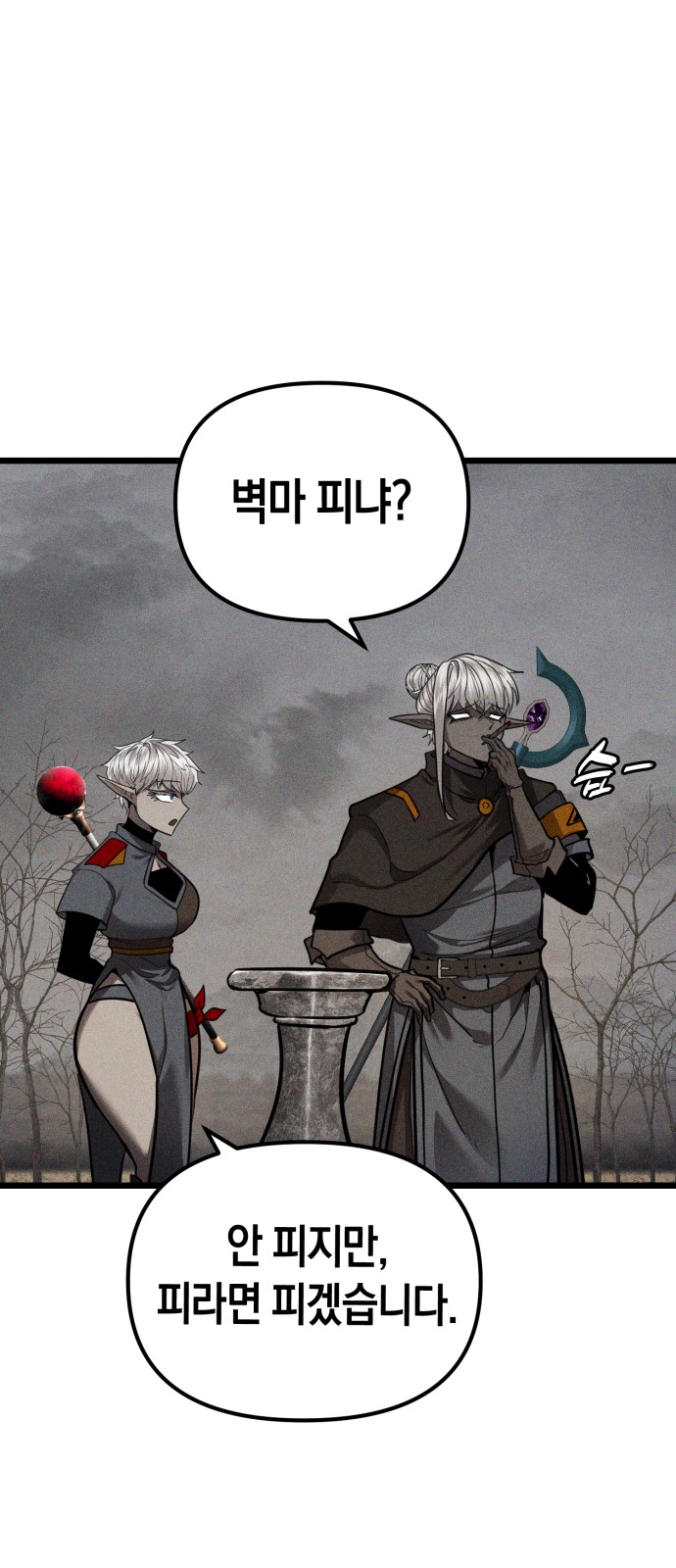 66 페이지