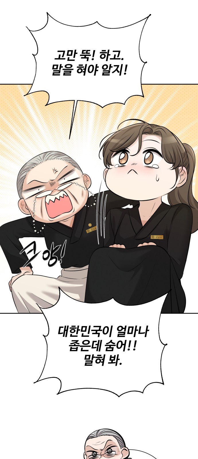 86 페이지