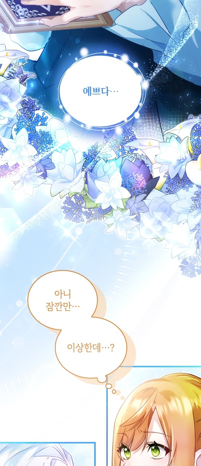71 페이지