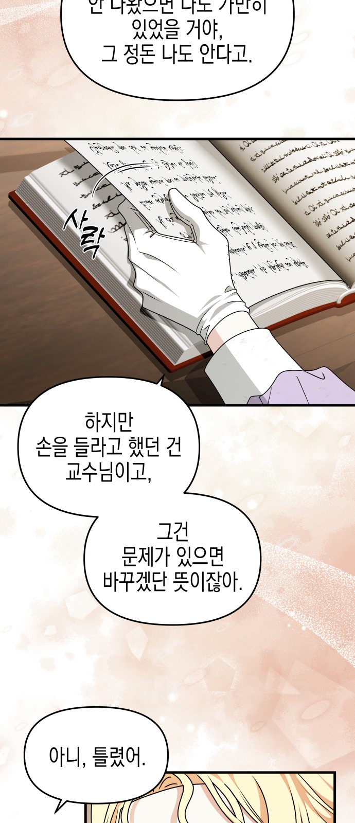 43 페이지