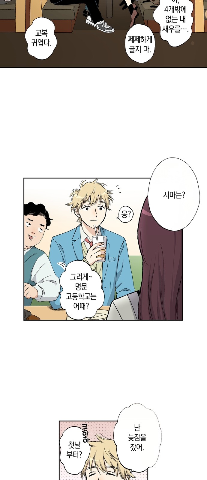 53 페이지