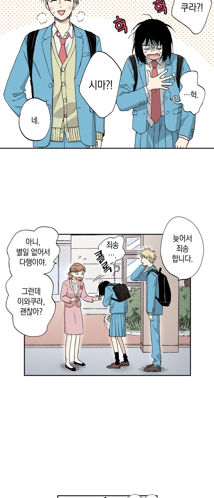 5 페이지