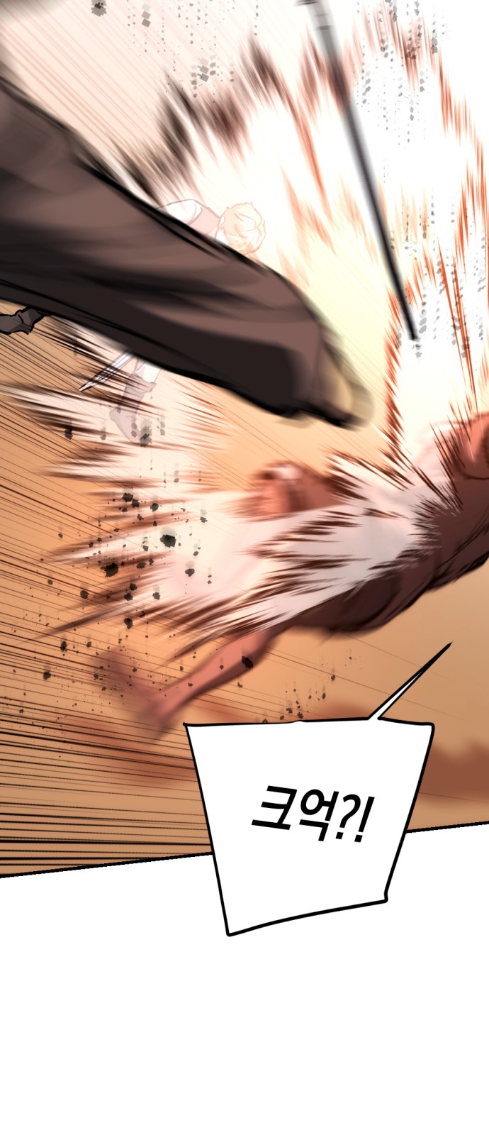 93 페이지