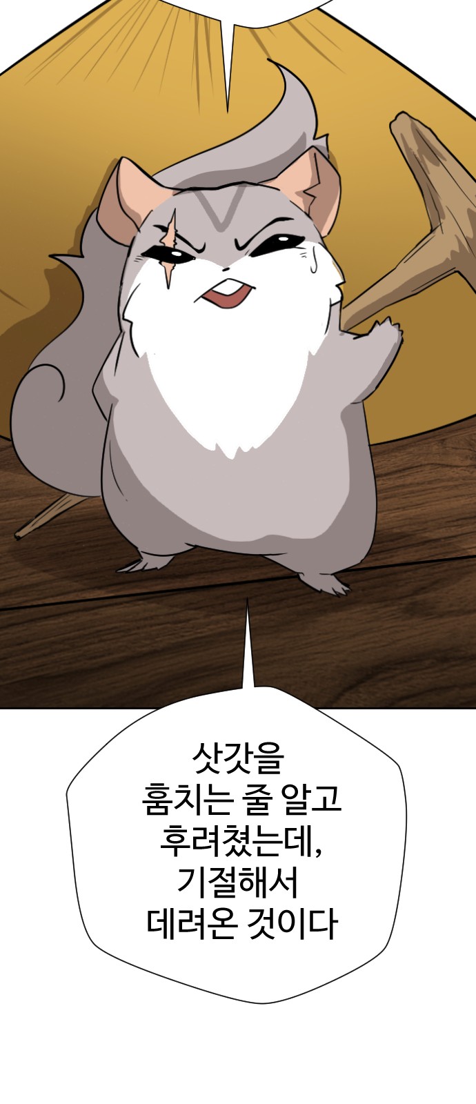 20 페이지