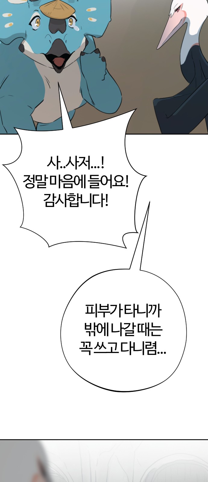48 페이지