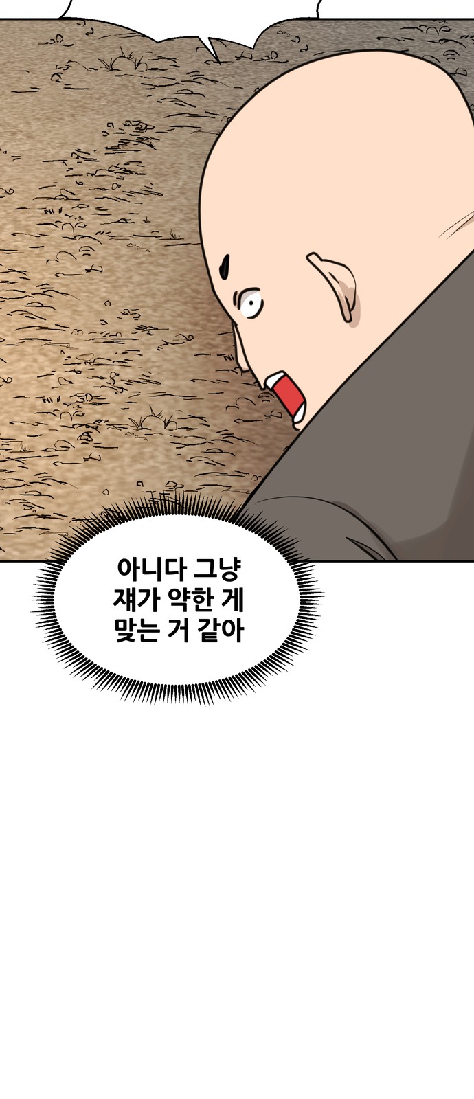 66 페이지