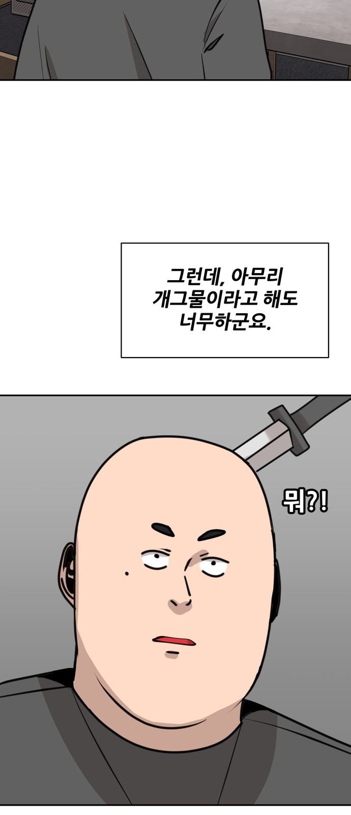 45 페이지