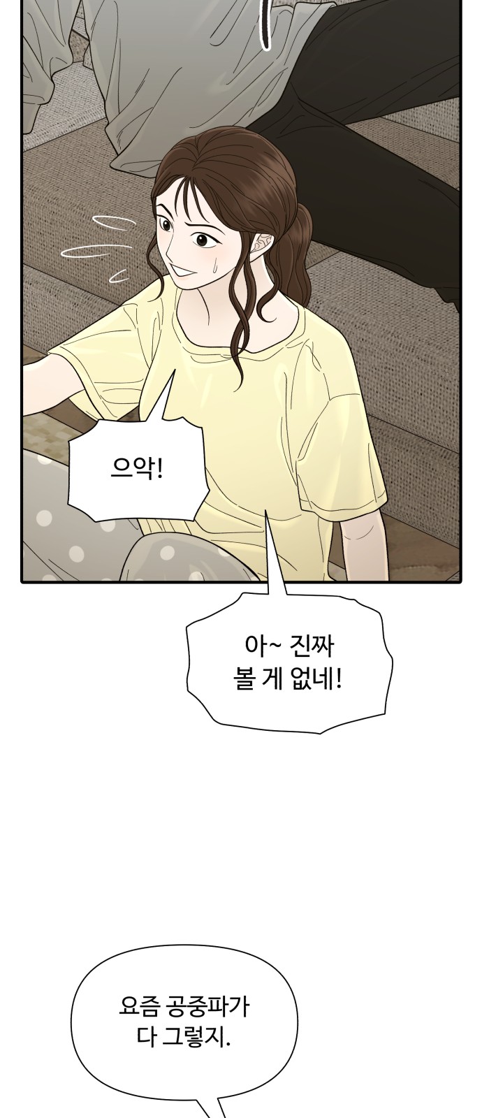 66 페이지