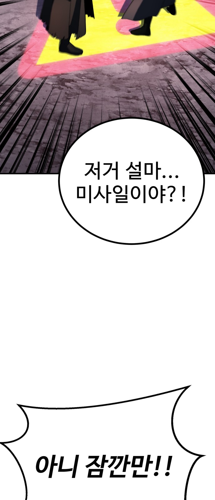 113 페이지