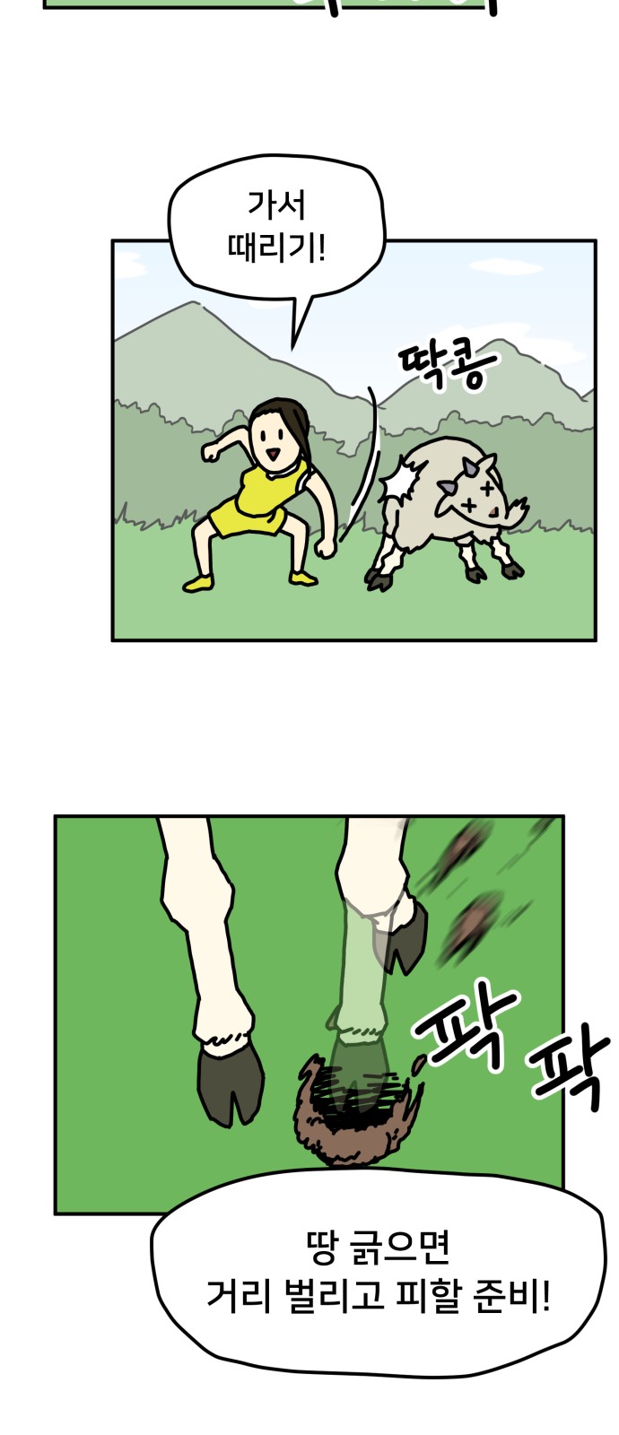 53 페이지