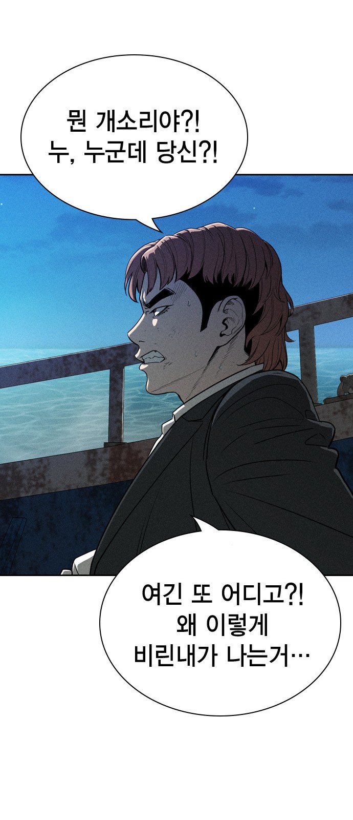 29 페이지