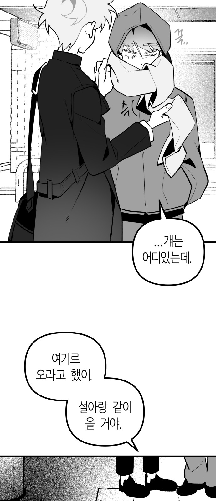 66 페이지