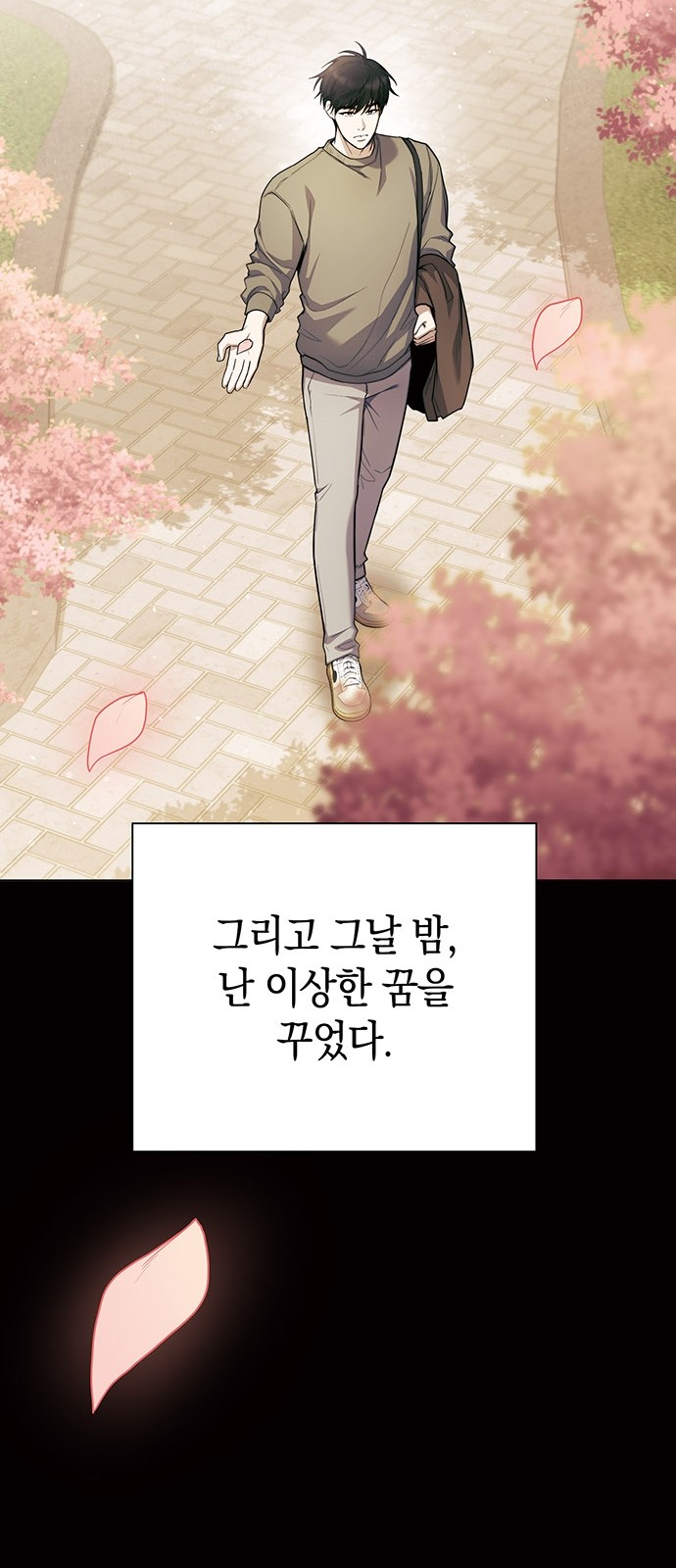 13 페이지