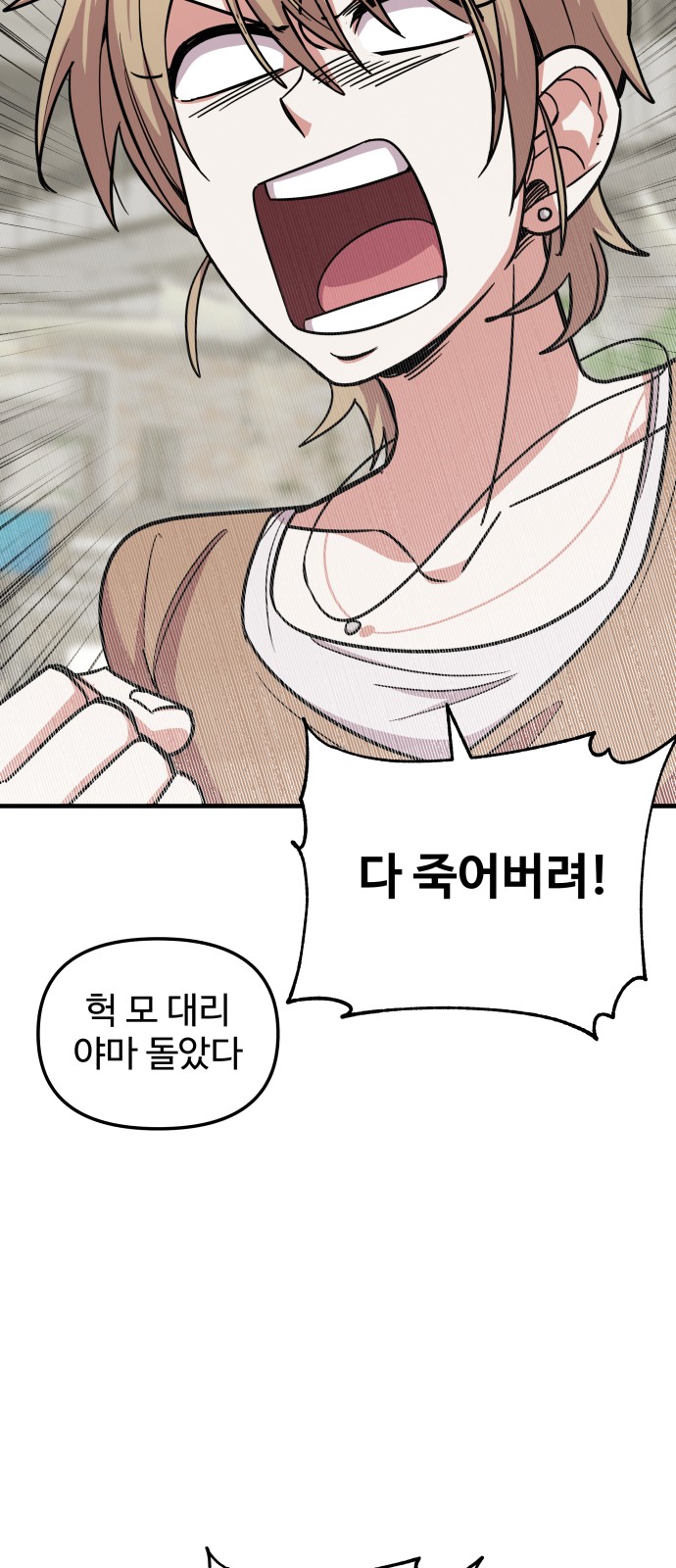 66 페이지