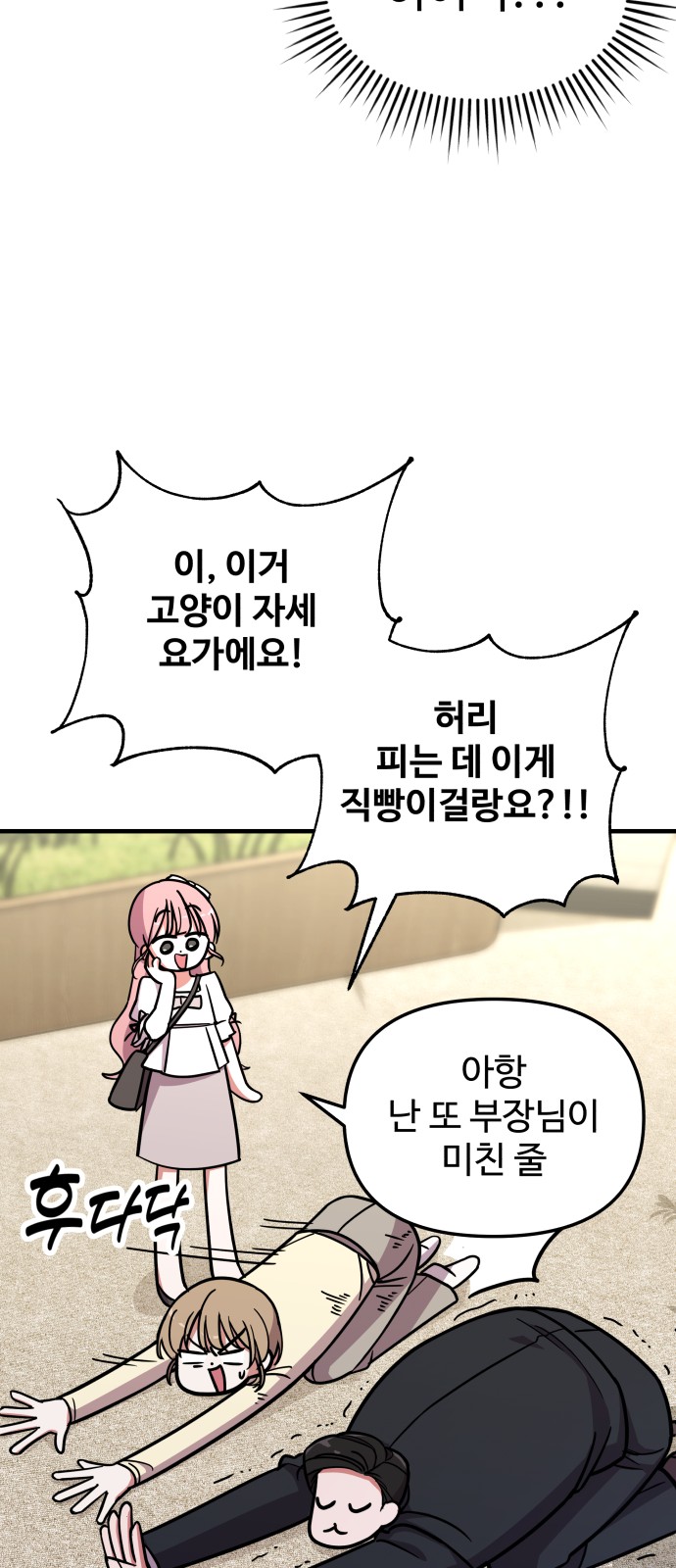 41 페이지