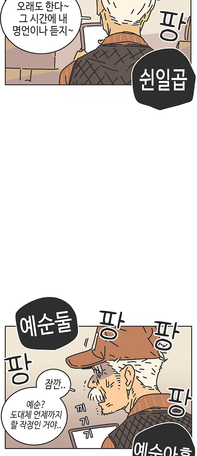 48 페이지