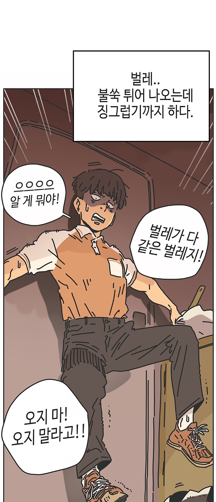 55 페이지