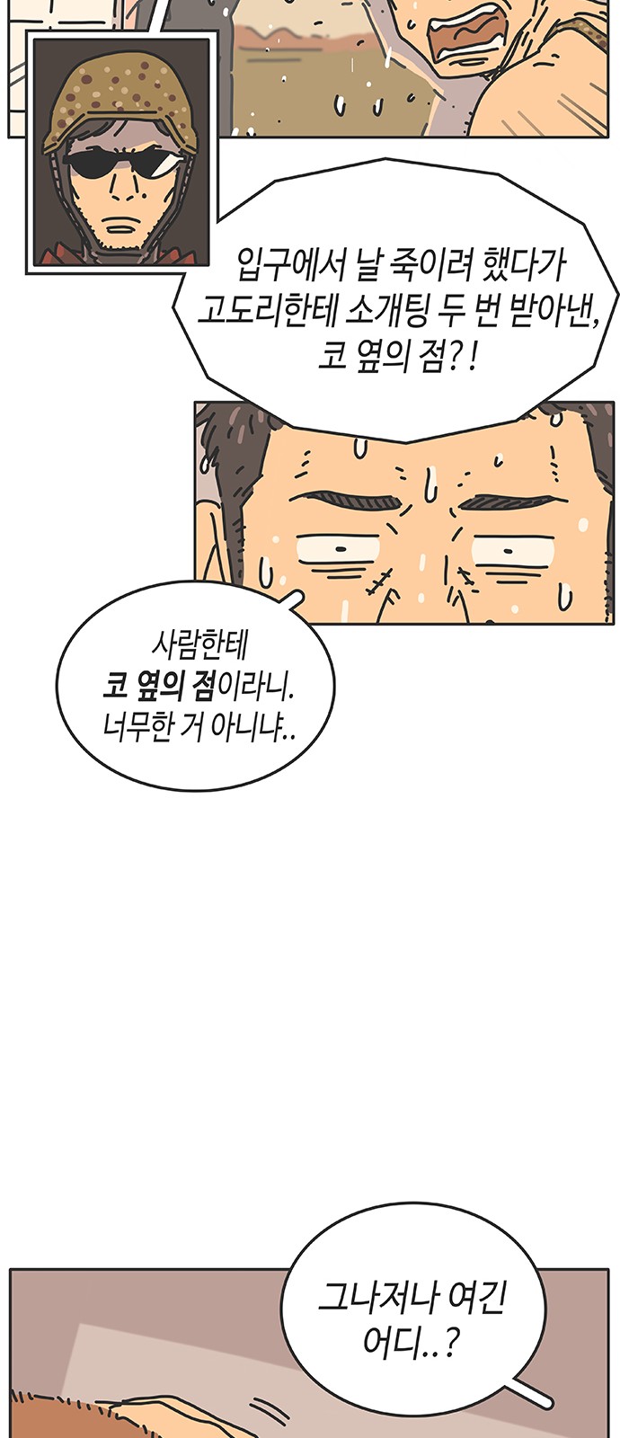 17 페이지